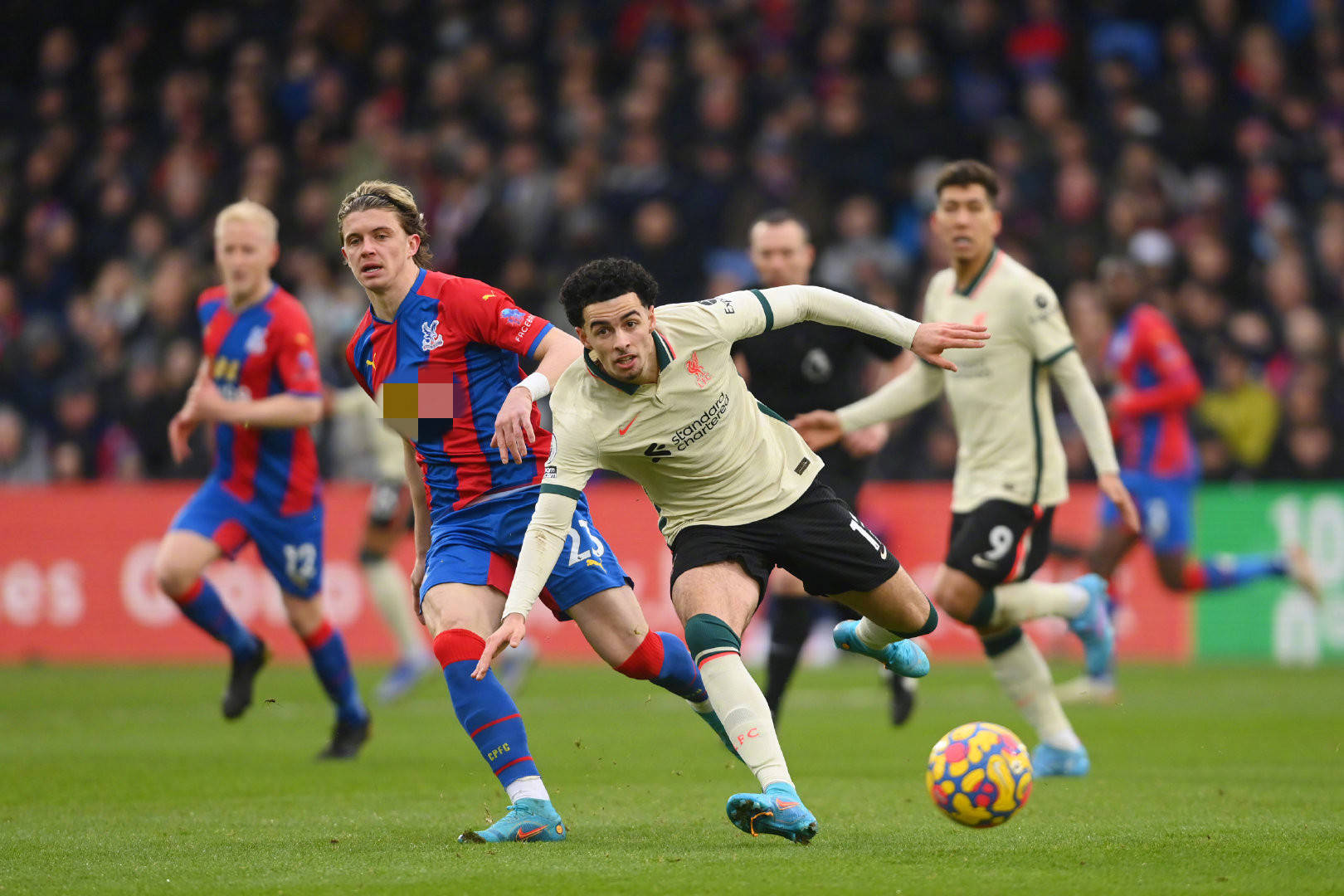 也因其球迷 也因其球迷